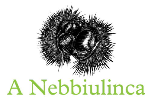 Logo A NEBBIULINCA